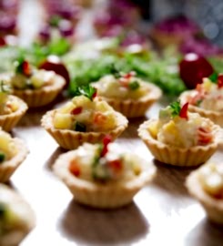 Ayşe Gül Erler Catering